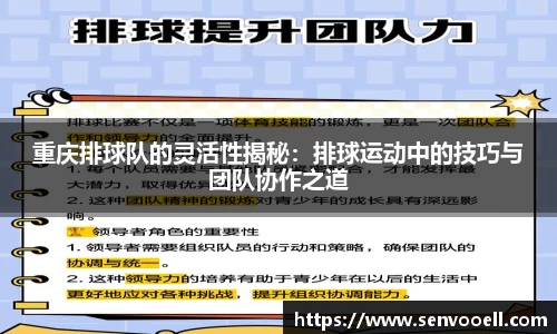 重庆排球队的灵活性揭秘：排球运动中的技巧与团队协作之道
