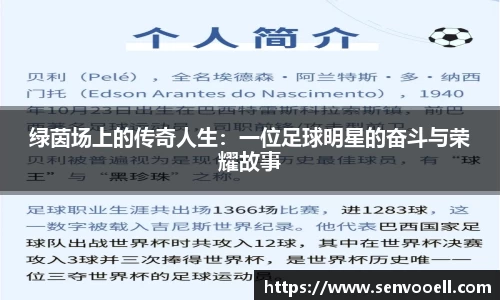 绿茵场上的传奇人生：一位足球明星的奋斗与荣耀故事